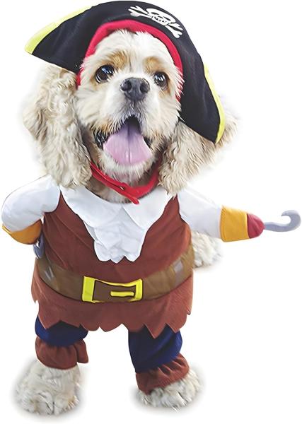 a talk like a pirate gift